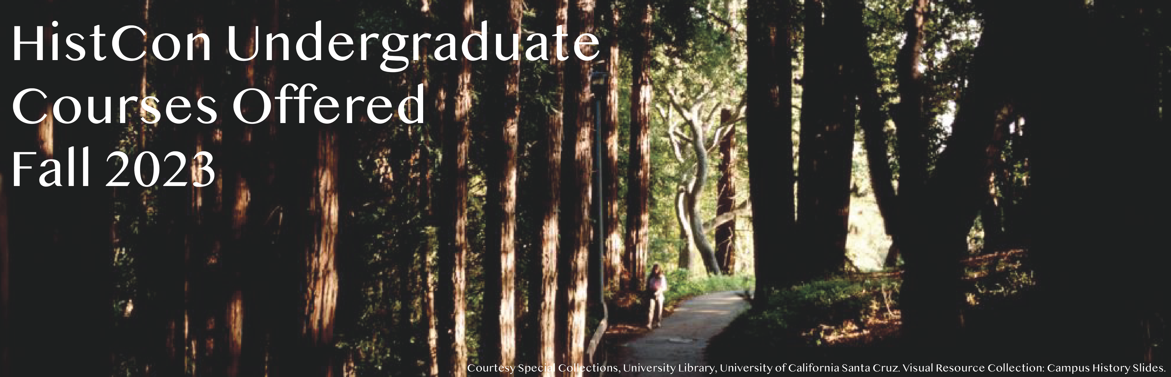 UC Santa Cruz campus grounds: student on a footpath through redwood trees, April 1988. Nikolay Zurek. © Courtesy Special Collections, University Library, University of California Santa Cruz. Visual Resource Collection: Campus History Slides.